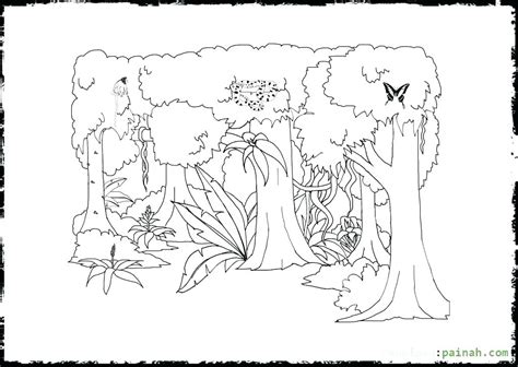 Layers Of The Rainforest Coloring Page at GetColorings.com | Free ...