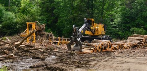 Vermont Launches Logger Safety and Insurance Program -- Occupational ...