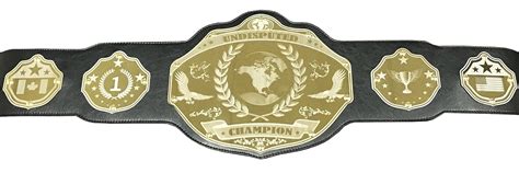 Undisputed Belts Universal Championship Belt - Custom Banners: Amazon.in: Sports, Fitness & Outdoors