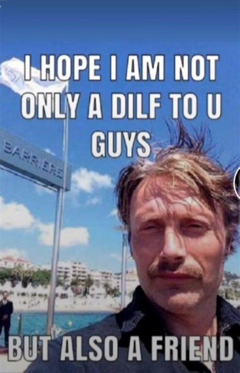 I hope I am not only a DILF to you guys, but also a friend mads mikkelsen meme | I Hope I Am Not ...