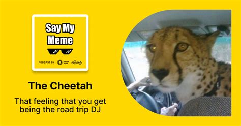 Say My Meme - Meme: Aux Cord Cheetah