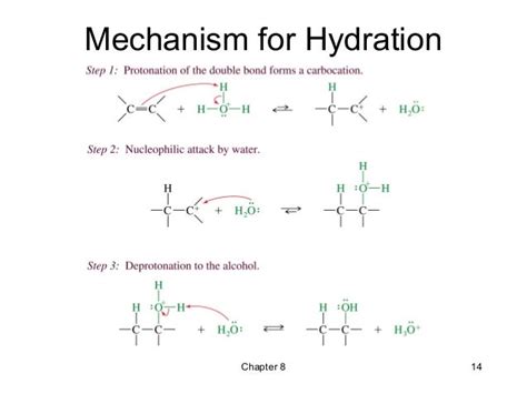 08 - Reactions of Alkenes - Wade 7th