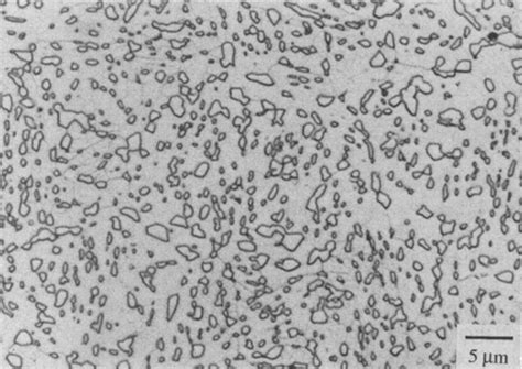 Microstructure of soft-annealed material showing cementite particles in... | Download Scientific ...