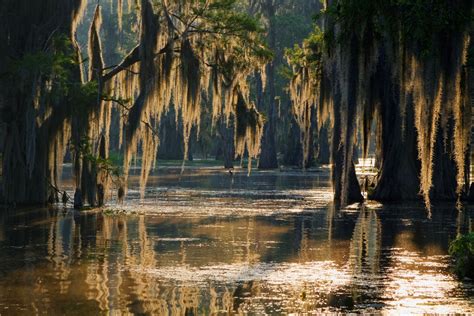 Louisiana Coast Will Receive A Major Makeover As More Restoration Is Confirmed