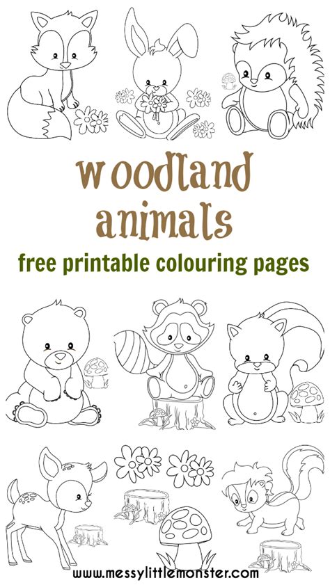 Cute Woodland Animal Coloring Pages