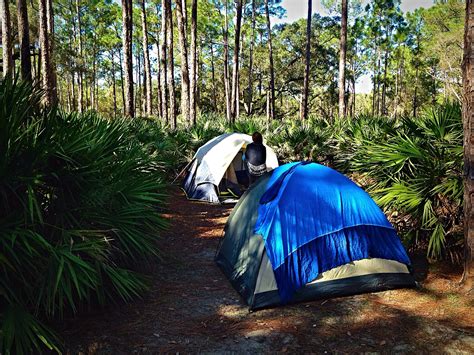 Lake Kissimmee State Park Tours - Book Now | Expedia