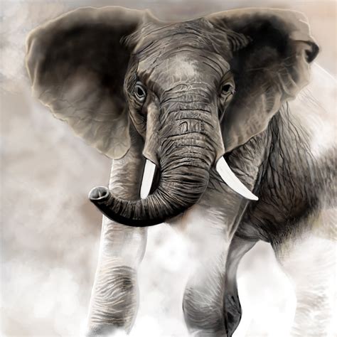 Elephant ← an animals Speedpaint drawing by Betty - Queeky - draw & paint