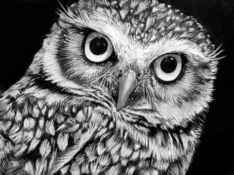 Charcoal drawing | drawing ideas | Pinterest | Owl, Drawings and Charcoal drawings