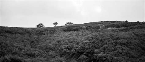 Black and White Mountain Landscape Stock Photo - Image of panoramic, turkish: 77871160