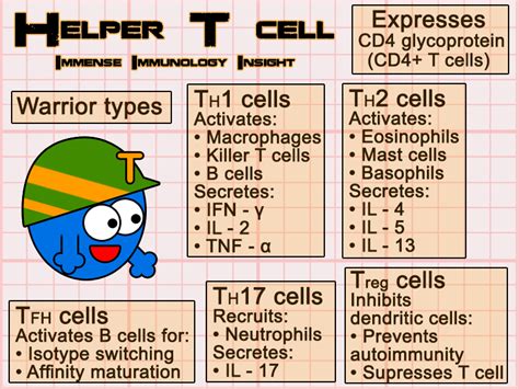 Immense Immunology Insight: Types of Helper T cells