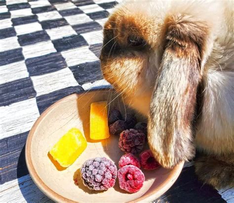 Top 10 Best Natural Rabbit Treats - No Effort Bunny Treats