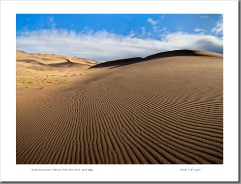 Star Dune, Great Sand Dunes National Park | Park landscape, Sand dunes national park, National parks