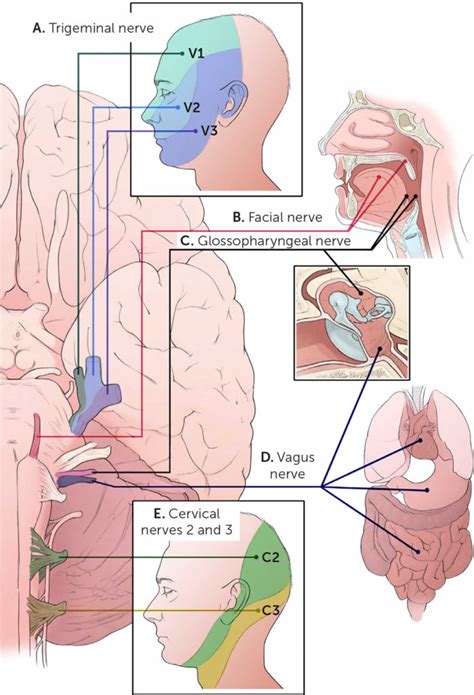 Otalgia causes, symptoms, diagnosis & otalgia treatment