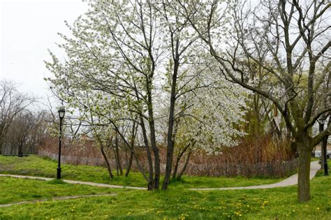 Calvert Vaux Park : NYC Parks