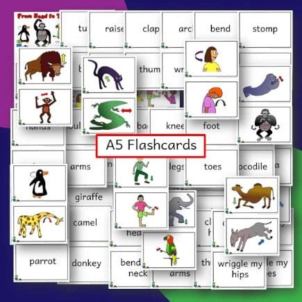 From Head to Toe Flashcards and game cards - Kids Club English