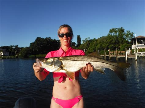 Summer snook fishing in Sarasota! – Siesta Key Fishing Charters