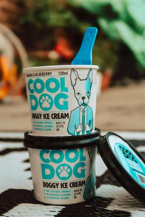 Cool Dog lactose free vegan ice cream ideal for summer - Lady & the Scamps