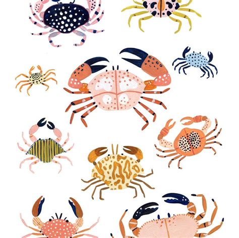 Crab Art Print By Amber Davenport