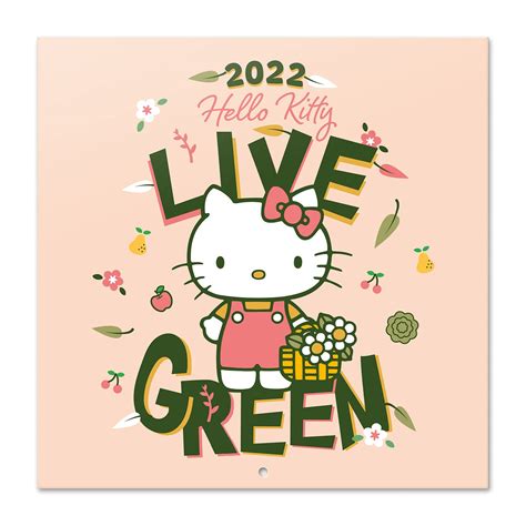 Buy Official Hello Kitty 2022 Wall , January 2022 - December 2022 ...