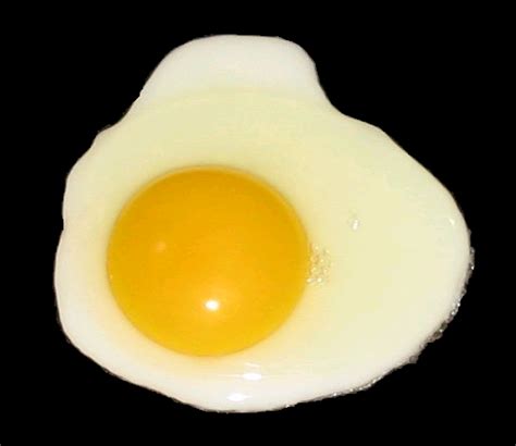 File:Fried egg, sunny side up (black background).PNG - Wikipedia, the free encyclopedia