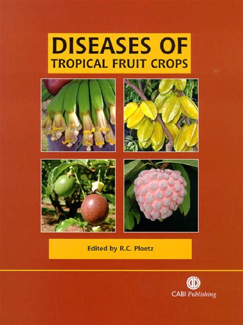 Randy C Ploetz - Diseases of Tropical Fruit Crops (2003, CABI) | PDF | Banana | Plants