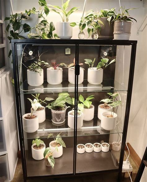 IKEA Greenhouse Cabinet | Ikea plants, Plant care houseplant, Indoor greenhouse