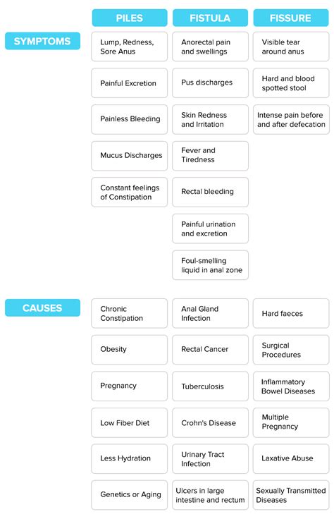 Difference Between Piles and Fistula and Fissure – CURE WELL LABORATORY ...