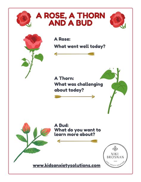 A Mindful Way to Reflect: A Rose, A Thorn and A Bud - Etsy