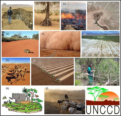 desertification causes effects and control pdf