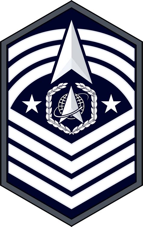 DVIDS - Images - USSF Enlisted Rank Insignia [Image 10 of 10]