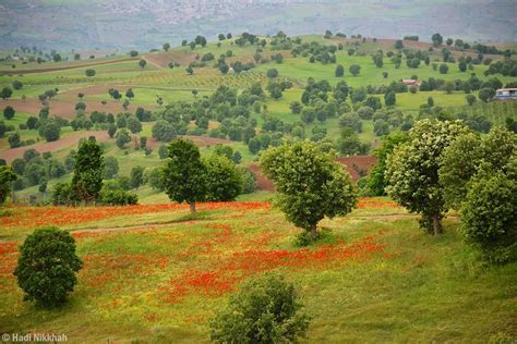 Sardasht , Iran