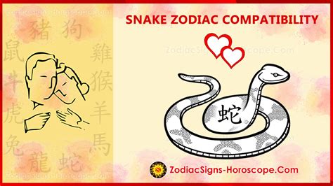 Snake Compatibility, Love and Marriage - Chinese Zodiac Compatibility