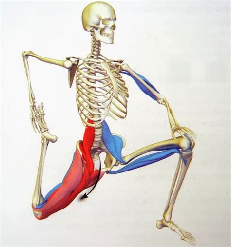 Hip Flexor Pain Causes