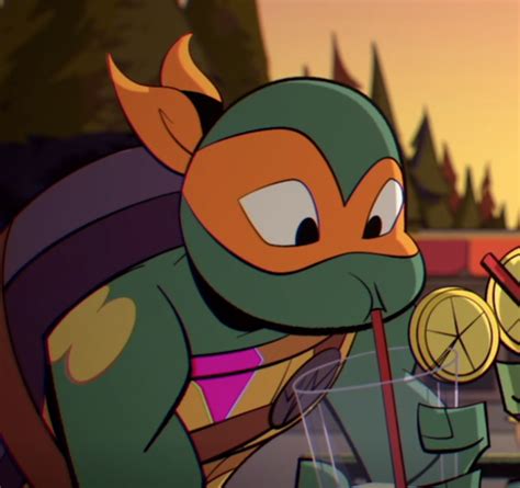 Michelangelo Hamato | Rise of the TMNT: Hidden World Wiki | Fandom