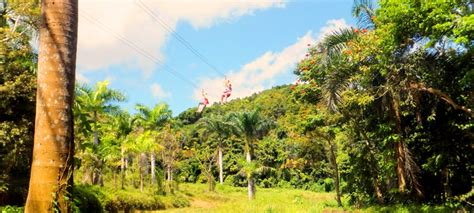 Puerto Rico Cruise Excursions | San Juan Canopy Zip Line Excursion