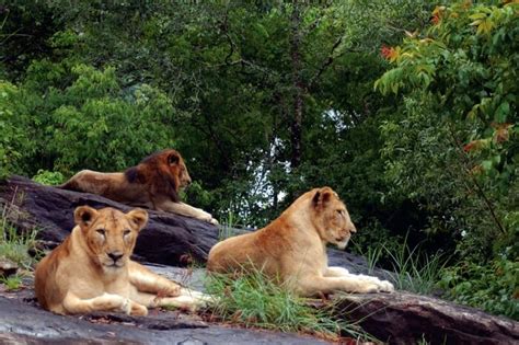 20 Best Wildlife Sanctuaries In Kerala