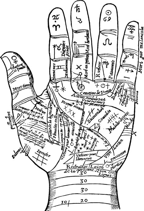 Palmistry | Hand Lines, Fate Lines & Chiromancy | Britannica