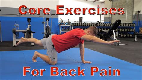 Best Exercises For Core And Back - Exercise Poster