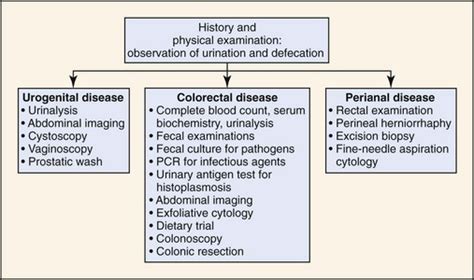 Polyuria and Polydipsia | Veterian Key