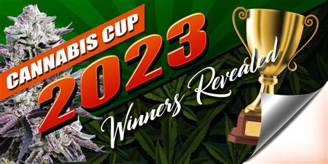 Cannabis Cup 2023 Winners Revealed! - Rocket Seeds