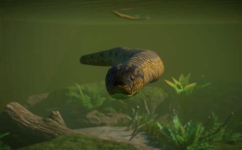 New Species - Yellow Anaconda (Habitat Version) V1.8 | Planet Zoo Mod Download