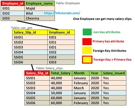 One to Many relationship examples in Database | T4Tutorials.com