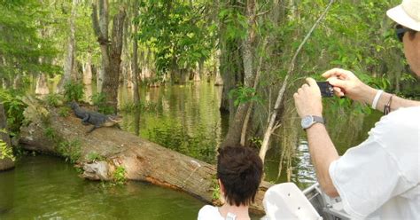 Louisiana Swamp Tour Information: Lafayette, Louisiana Swamp Tours