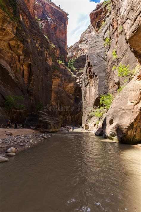 The Narrows In Zion National Park, Utah, USA Stock Photo - Image of ...