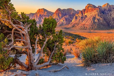 Red Rock Sunrise | Red rock, Sunrise, Monument valley