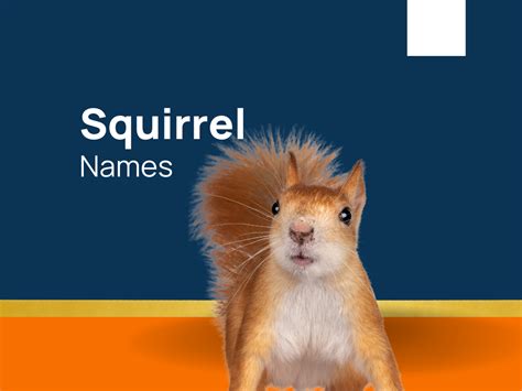 1120+ Squirrel Names for Your Fuzzy Buddies! (+Generator)