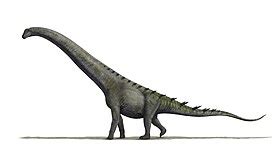 Alamosaurus - Wikipedia