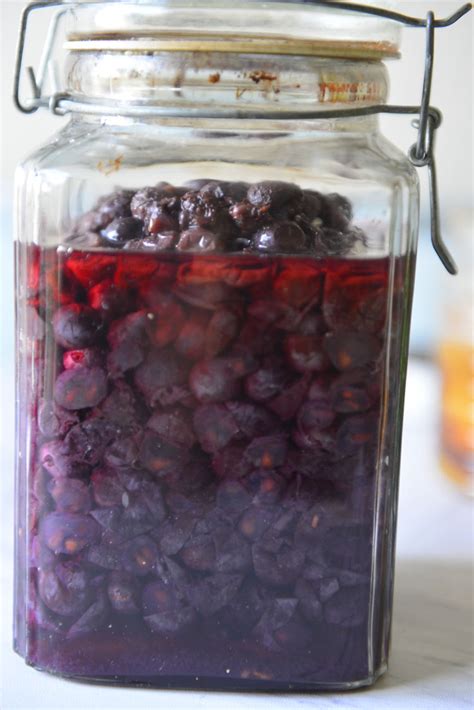 Homemade Grape Wine | Munthiri Wine - OVENTales