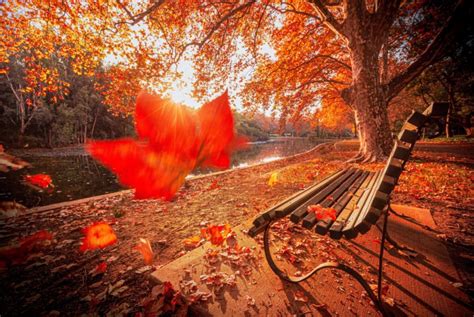 7 Best Autumn Experiences In Perth