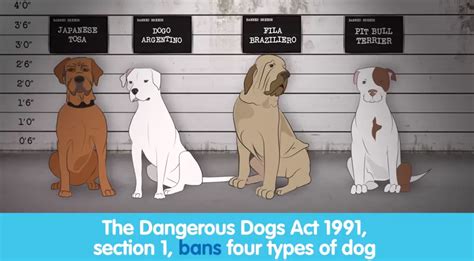 What Dogs Are On The Dangerous Dogs List Uk